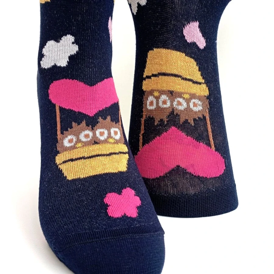 Bavlněné dámské ponožky PTÁČATA 