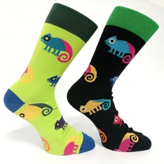 Barevné ponožky s chameleonem