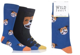 Bavlněné pánské ponožky STAFORD