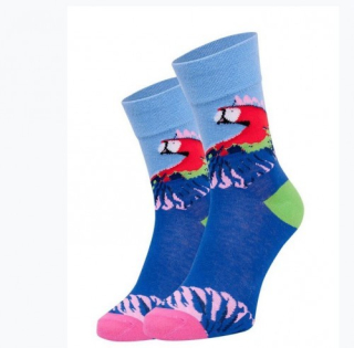Pestré pánské ponožky s papouškem